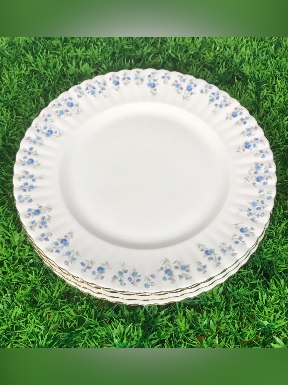Royal Albert ‘Memory Lane’ China Dinner Plates with Blue Floral Garland Rim (4)
